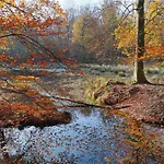 Tatil Evi Hof Benten Ermelo