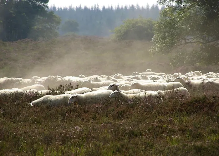 Сasa de vacaciones Hof Benten