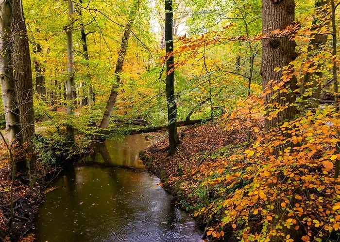 بيت للعطل Hof Benten