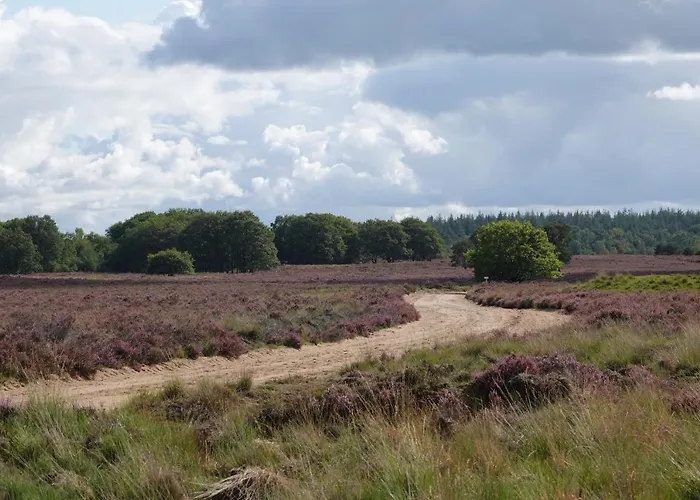 Hof Benten بيت للعطل